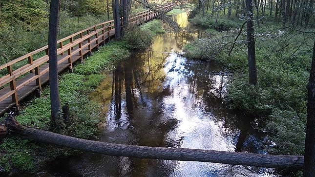 Miejscówka 383 - rezerwat Królewskie źródła - zdjęcie 3