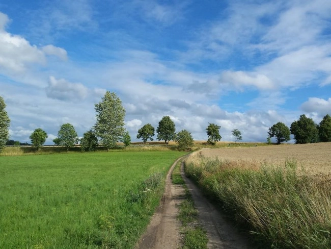 Miejscówka 384 - Biesowo - zdjęcie 3