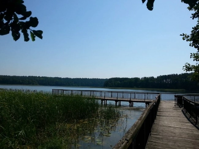 Miejscówka 386 - Zombie - zdjęcie 2