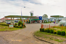 Miejscówka 388 - Chojnów - zdjęcie 0