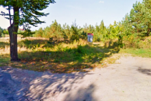 Miejscówka 392 - Skarszewy - zdjęcie 0