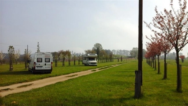 Miejscówka 405 - Arboretum Wojsławice - zdjęcie 3