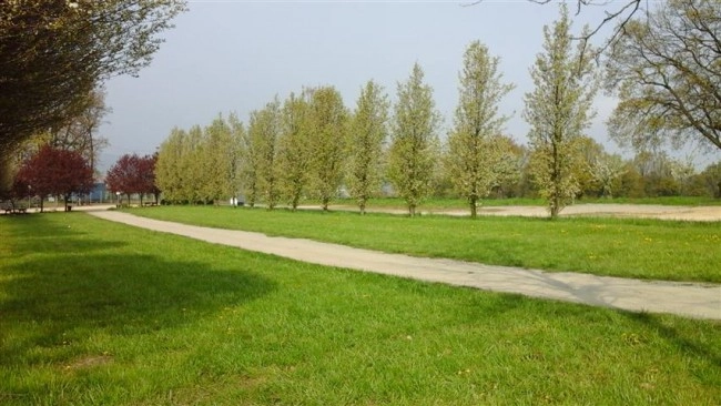 Miejscówka 405 - Arboretum Wojsławice - zdjęcie 2