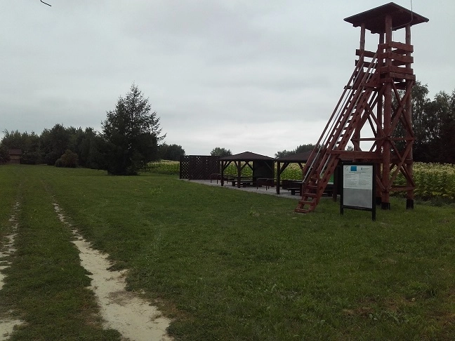 Miejscówka 425 - Kulików - zdjęcie 5