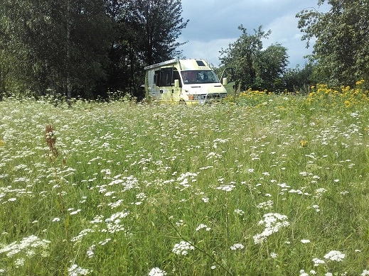 Miejscówka 428 - Liszna - zdjęcie 4