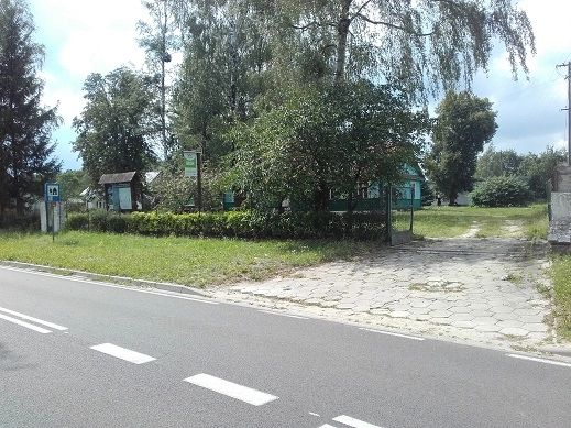 Miejscówka 428 - Liszna - zdjęcie 3