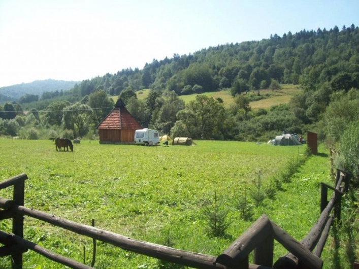 Pole Namiotowo-Biwakowe Grzybek - zdjęcie 1