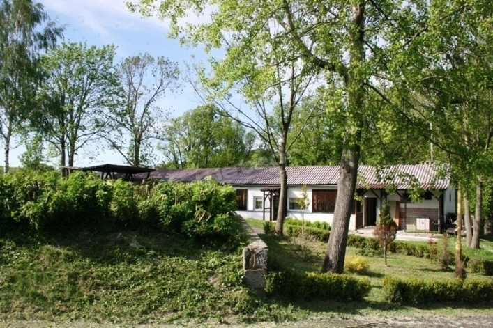 Galeria - zdjęcie 6