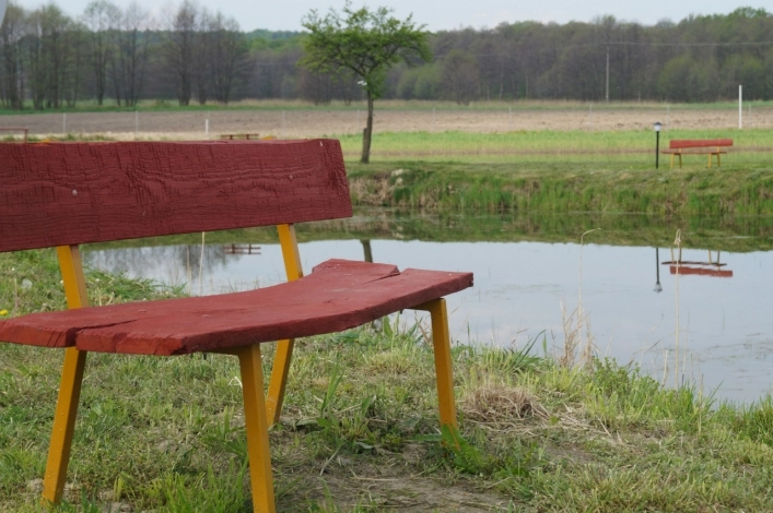 Galeria - zdjęcie 10