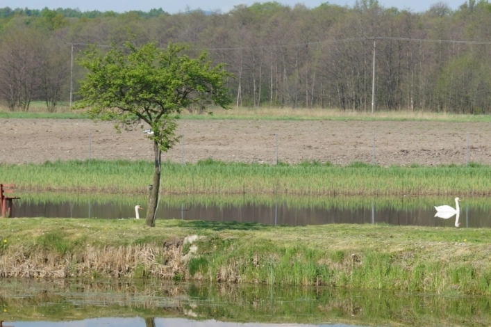 Galeria - zdjęcie 8