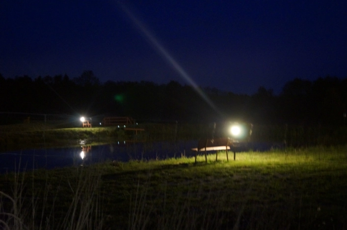 Galeria - zdjęcie 7