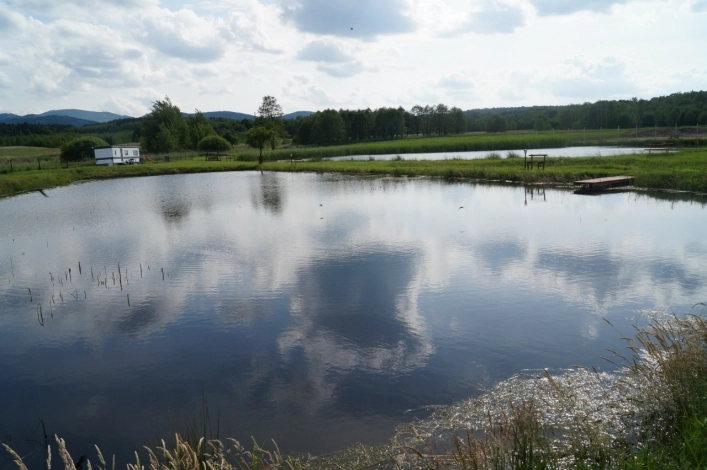 Camping nad stawami - zdjęcie 3