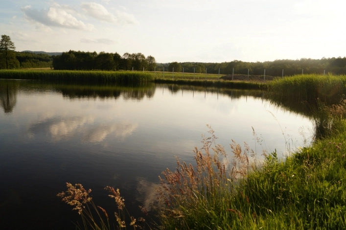 Camping nad stawami - zdjęcie 2