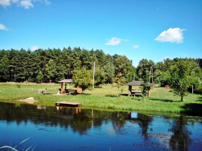 Galeria - zdjęcie 4