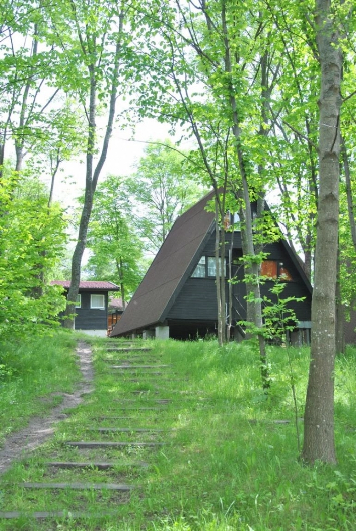 Galeria - zdjęcie 8