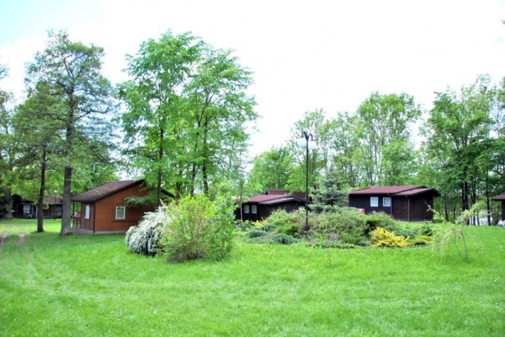 Galeria - zdjęcie 7