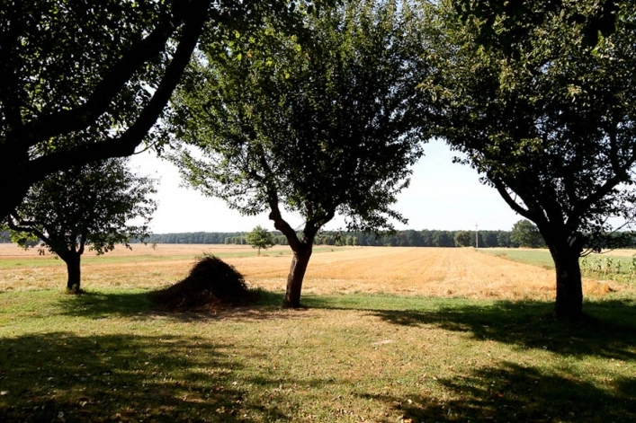 Camping Bumerang  - zdjęcie 3