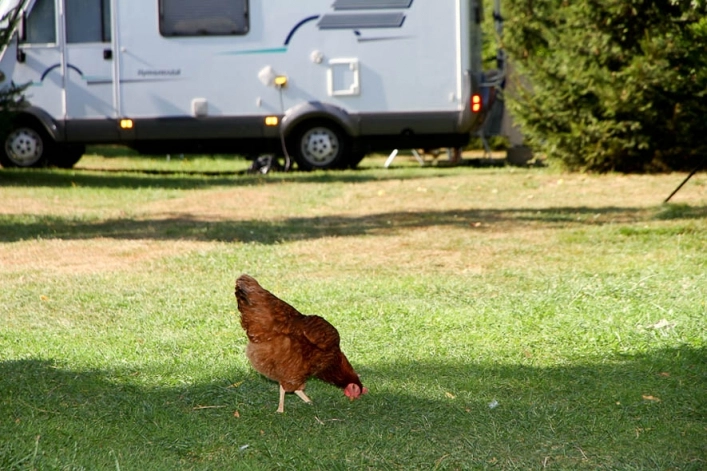 Camping Bumerang  - zdjęcie 1