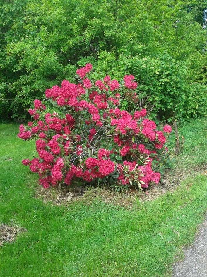 Galeria - zdjęcie 6