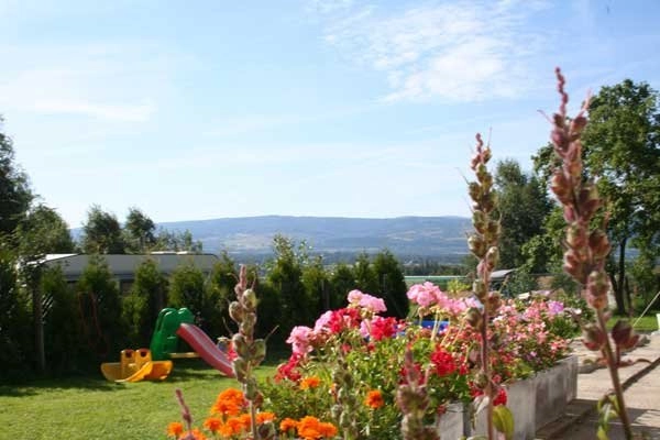 Camping Mirsk - zdjęcie 1