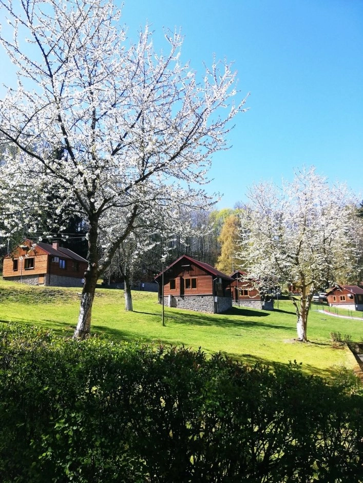 Złoty Potok Resort - zdjęcie 2