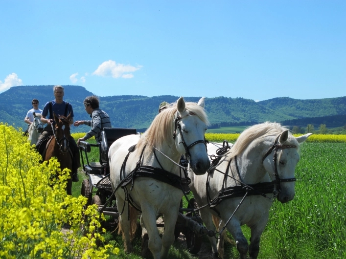 Gospodarstwo Agroturystyczne "Krucza Dolina" - zdjęcie 1