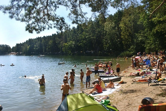 Galeria - zdjęcie 2