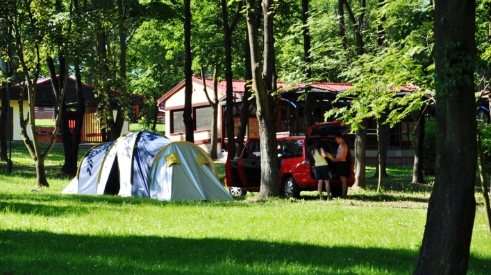 Galeria - zdjęcie 8