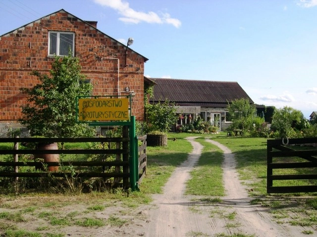 Wczasy Pod Gruszą Pyzdry - zdjęcie 1