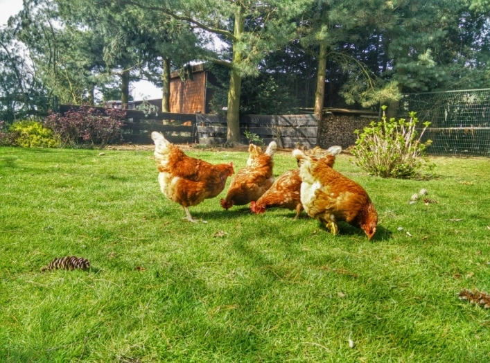 Galeria - zdjęcie 1