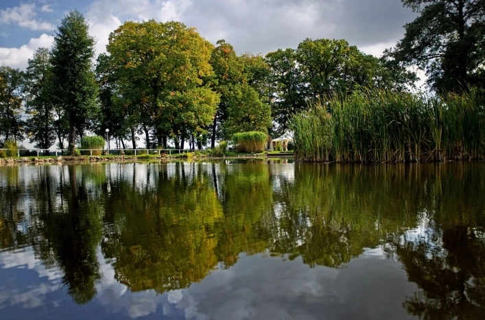 Galeria - zdjęcie 9