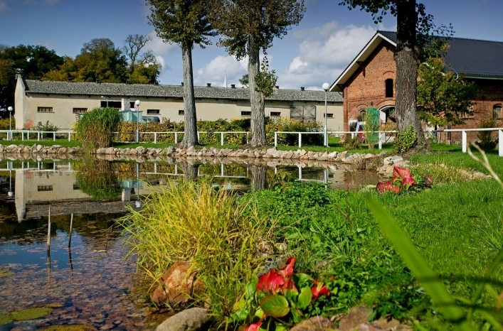 Galeria - zdjęcie 8