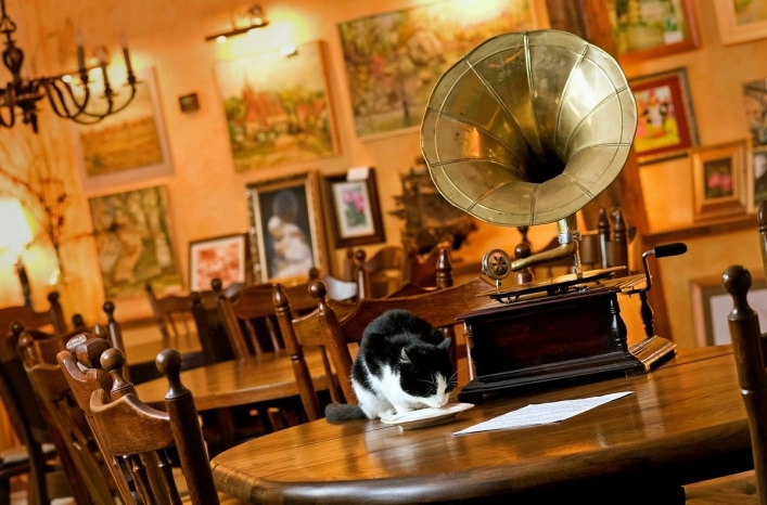 Galeria - zdjęcie 5