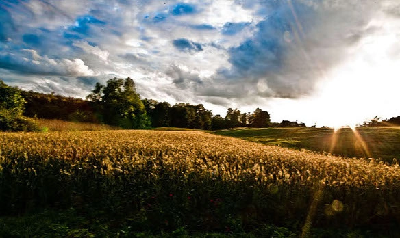 Galeria - zdjęcie 4