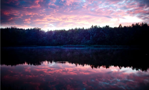 Camping Leśne Ustronie - zdjęcie 2