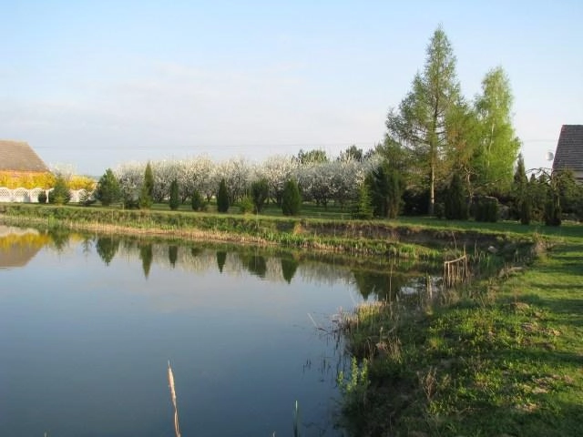 Kemping Mały Raj - zdjęcie 4