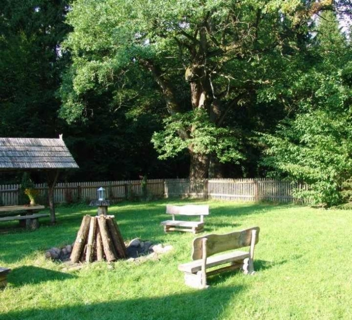 Camping U Michała - zdjęcie 3