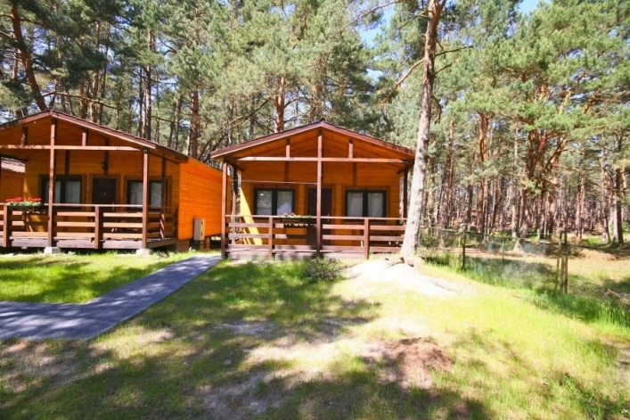 Galeria - zdjęcie 14