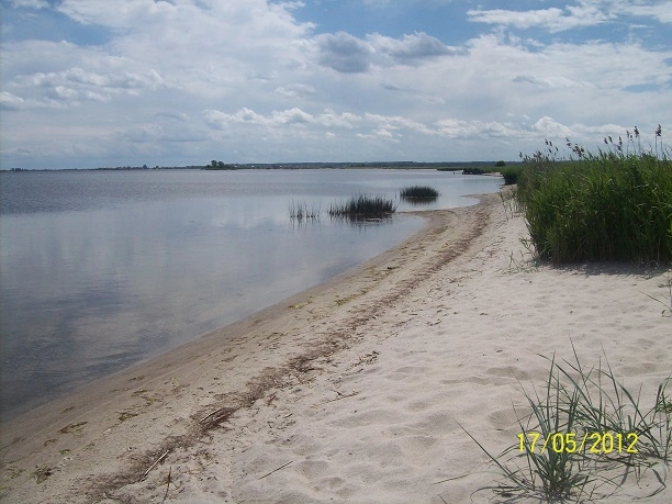 Miejscówka 067 - Rezerwat Beka - zdjęcie 4