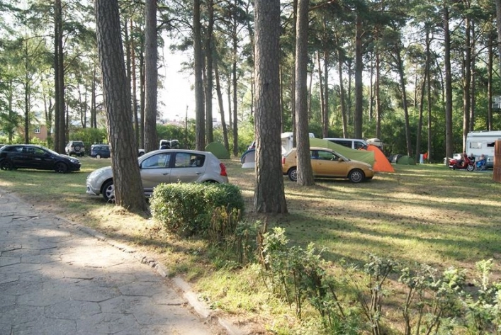 Galeria - zdjęcie 15