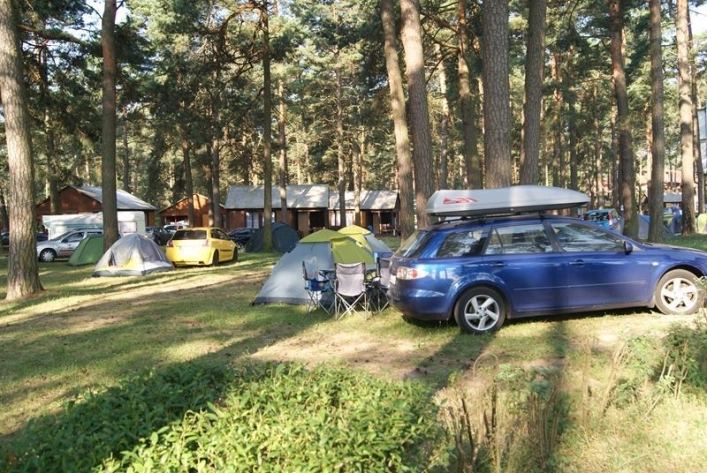 Galeria - zdjęcie 14