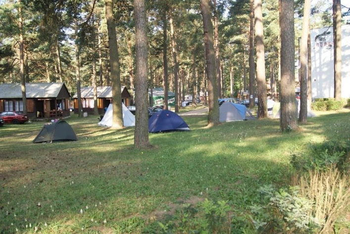 Galeria - zdjęcie 13
