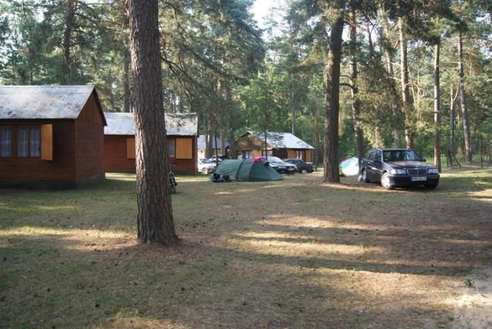 Galeria - zdjęcie 11