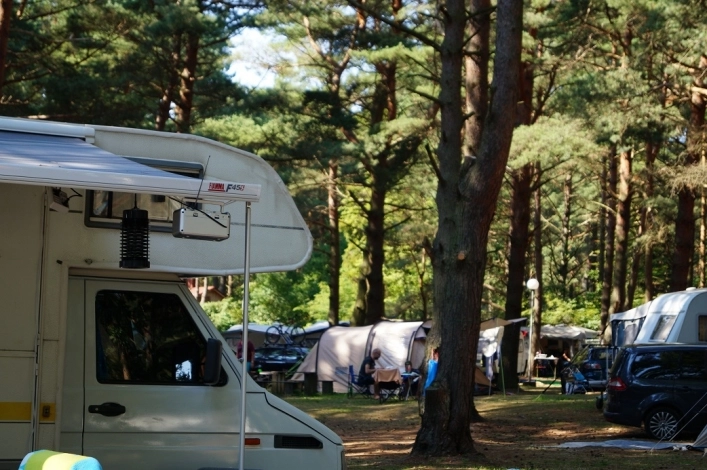 Galeria - zdjęcie 15