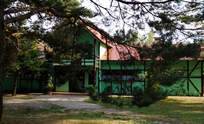 Galeria - zdjęcie 14