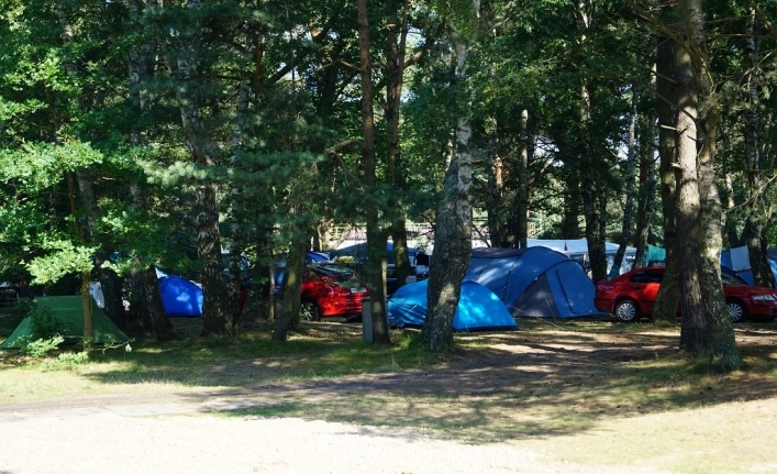 Galeria - zdjęcie 13