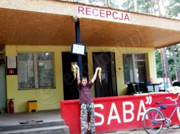 Galeria - zdjęcie 4