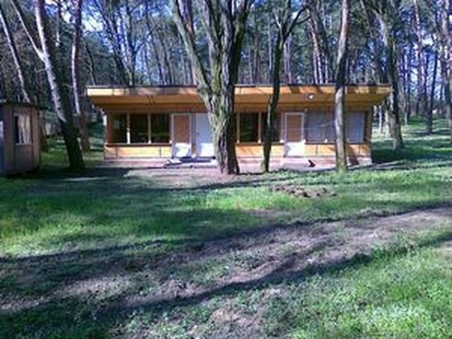 Galeria - zdjęcie 1