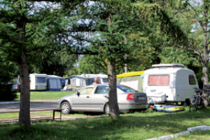 Camping nr 243