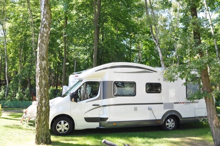 Galeria - zdjęcie 12